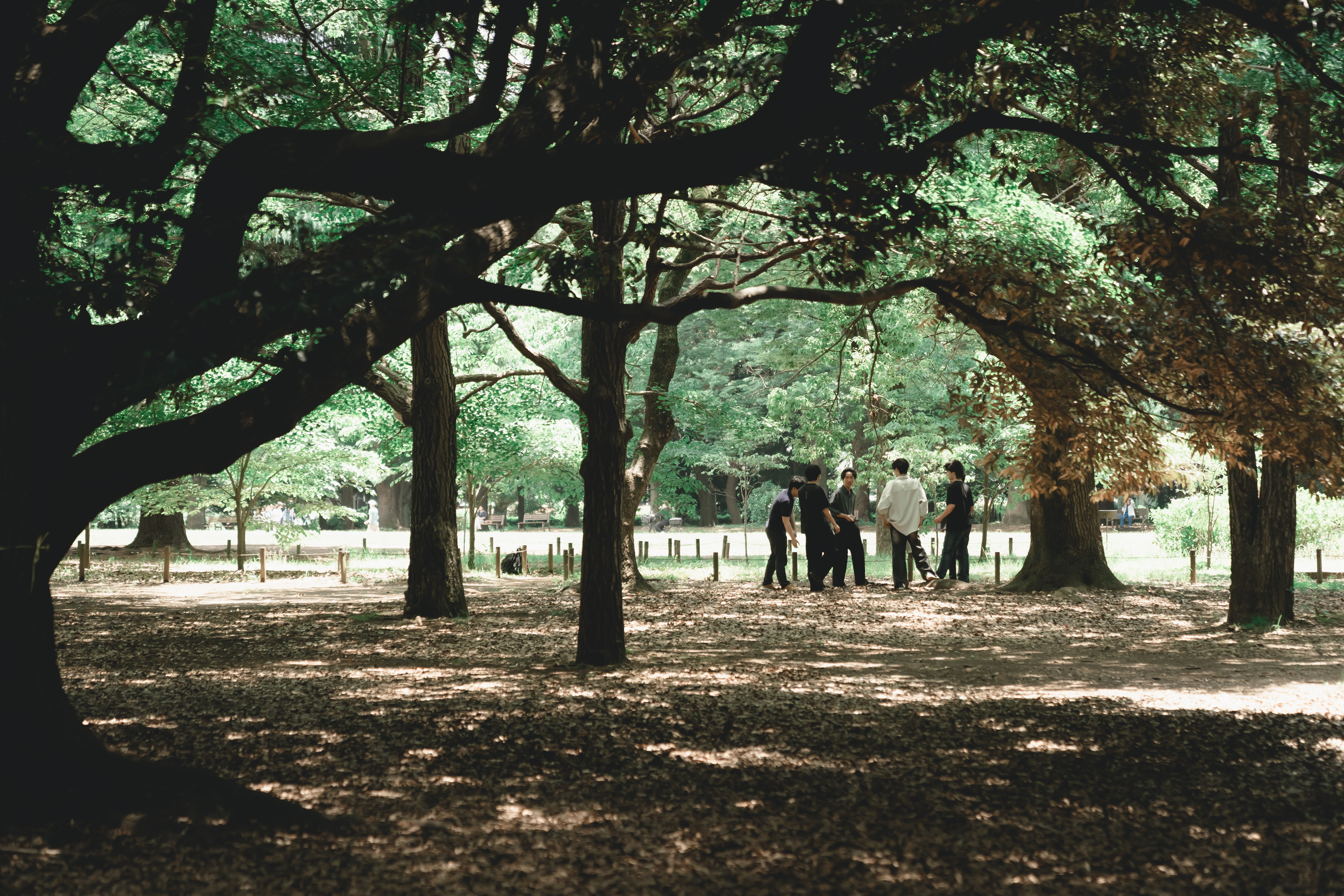 Sky surrounded by greenery